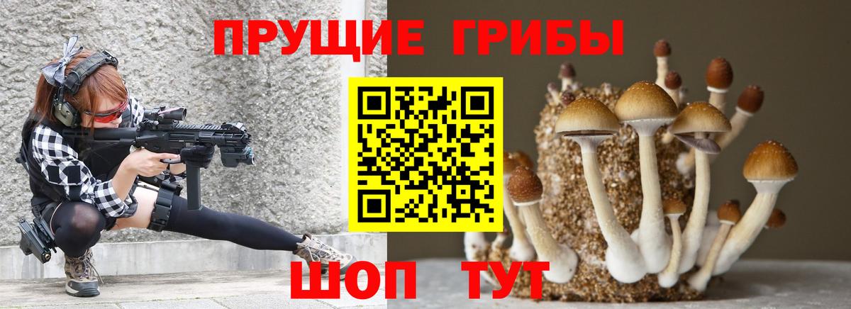 Краснокамск  Псилоцибиновые грибы прущие грибы  Псилоцибиновые грибы Magic Shrooms  даркнет сайт  Вход с VPN 
