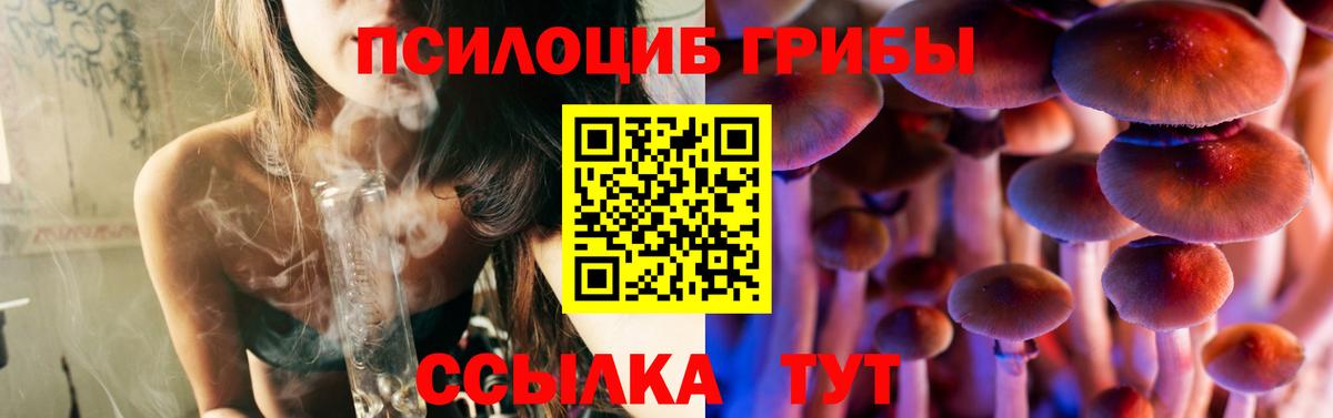 Псилоцибиновые грибы MAGIC MUSHROOMS Краснокамск